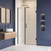 Душевая дверь RGW HO-012B 1000