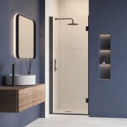 Душевая дверь RGW HO-011B 900