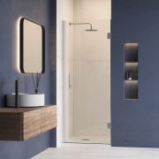 Душевая дверь RGW HO-011 900