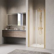 Душевая дверь RGW PA-104Gb 700