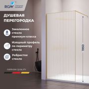 Душевая перегородка RGW WA-08Gb 1000