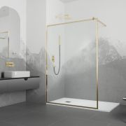 Душевая перегородка RGW WA-12G 900