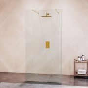 Душевая перегородка RGW WA-016Gb 1400