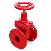 Задвижка 30ч39р (Г) с обрезиненным клином 50