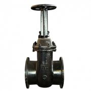 Задвижка 31(30)ч6бр 250