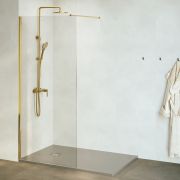 Душевая перегородка RGW WA-002G 800