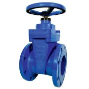 Задвижка 30ч39р SL12 50